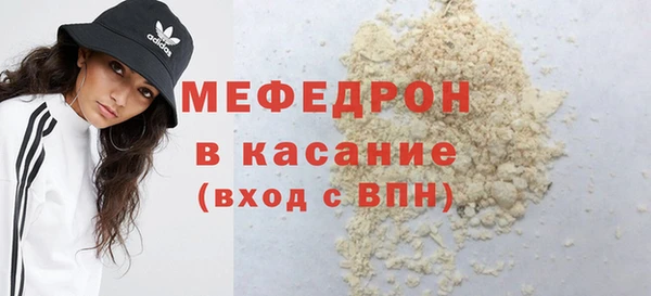 соль ск Ельня