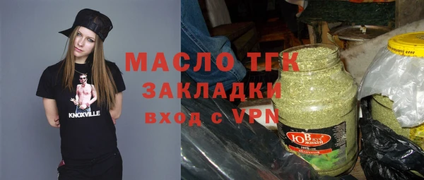 соль ск Ельня