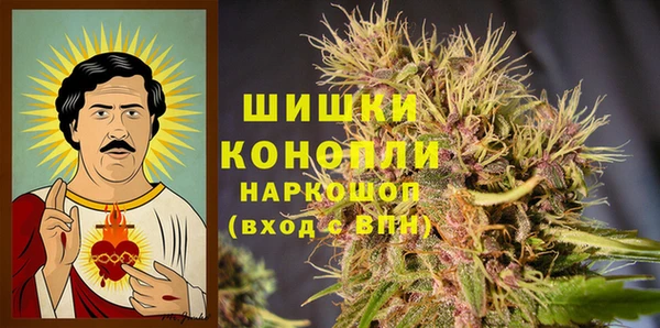 Альфа ПВП Елизово