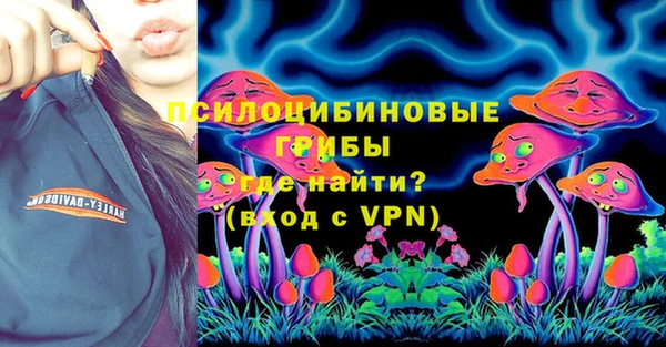 соль ск Ельня