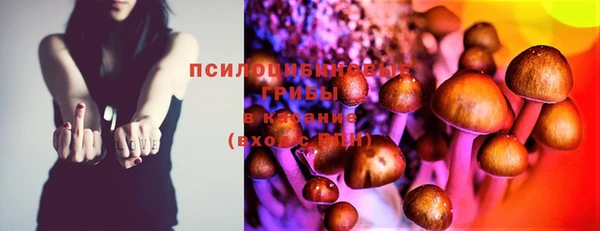 соль ск Ельня