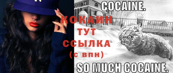 Альфа ПВП Елизово