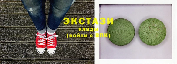 соль ск Ельня