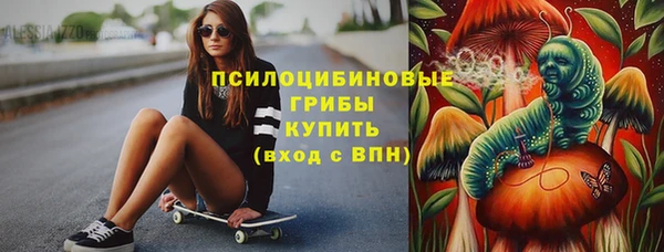 соль ск Ельня