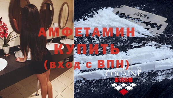 соль ск Ельня
